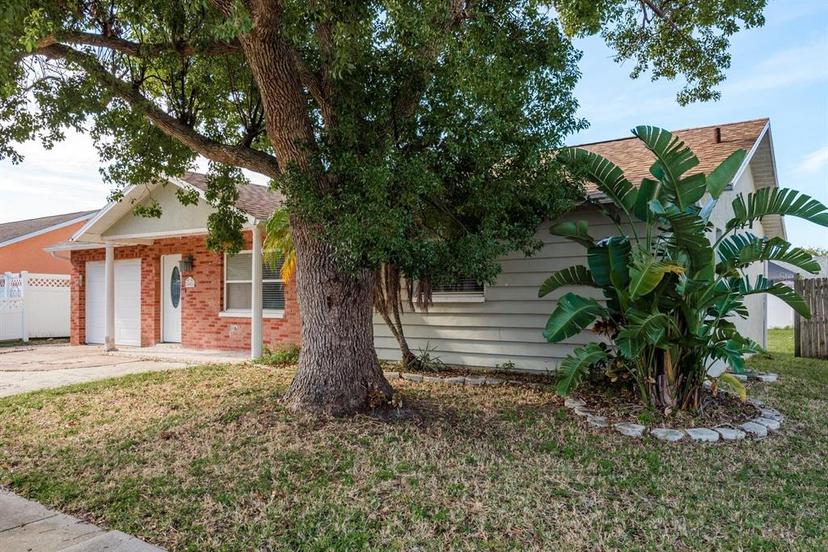 Picture of 4481 Alligator Drive, New Port Richey FL 34653