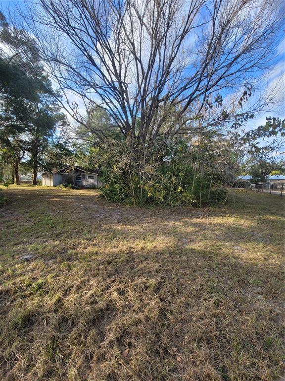 Picture of 7490 NE 185Th Court, Williston FL 32696