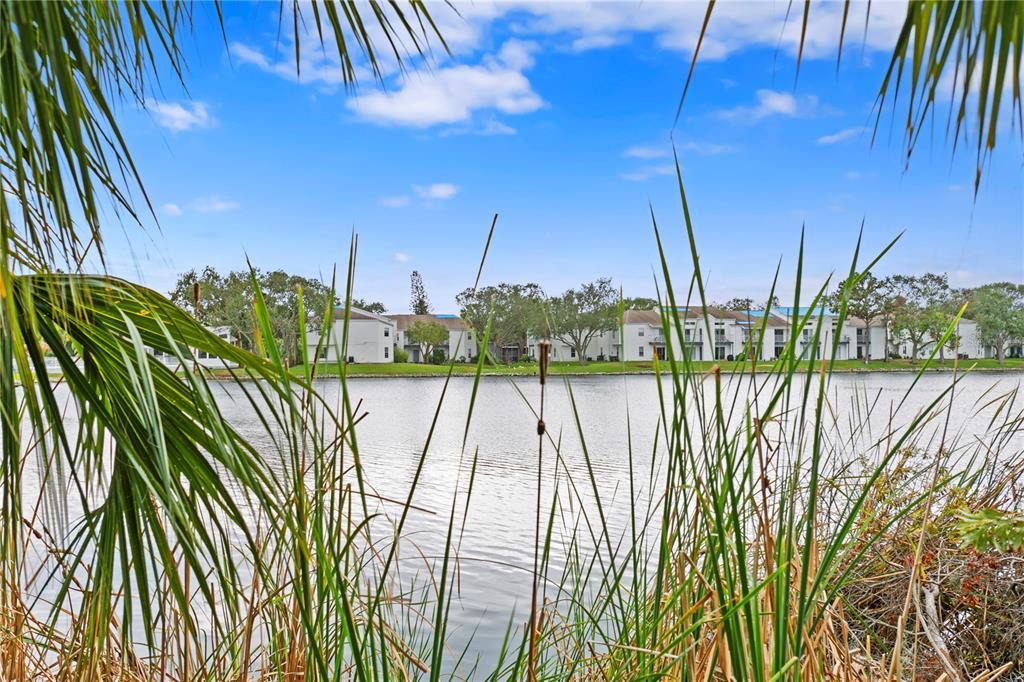 Picture of 3192 Nautical Place S, St Petersburg, FL 33712