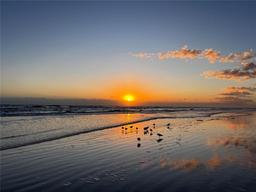 Picture of 701 N Atlantic Avenue Unit 203, New Smyrna Beach, FL 32169