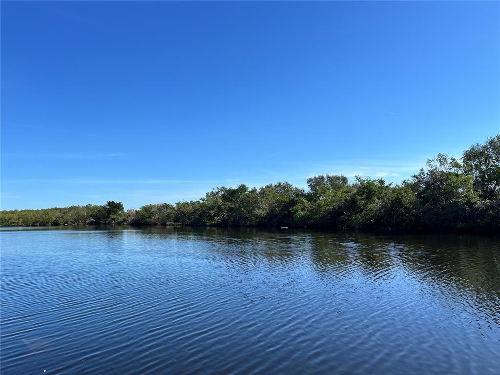 Picture of 556 Mount Oak Avenue Ne Unit 738, St Petersburg, FL 33702