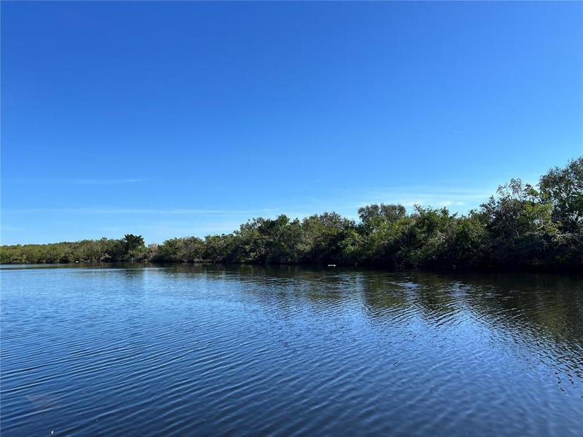Picture of 556 Mount Oak Avenue Ne Unit 738, St Petersburg FL 33702