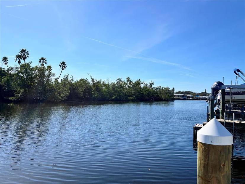 Picture of 556 Mount Oak Avenue Ne Unit 738, St Petersburg FL 33702