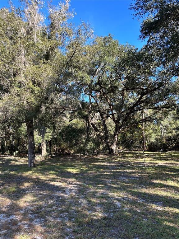 Picture of 12003 SE 225Th Drive, Hawthorne FL 32640