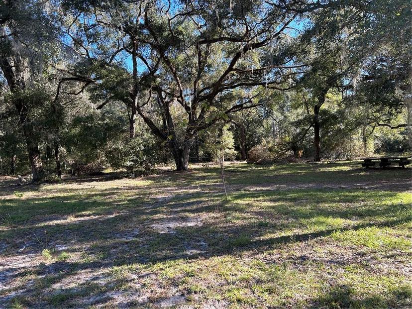 Picture of 12003 SE 225Th Drive, Hawthorne FL 32640