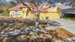 Picture of 16829 Midsummer Lane, Spring Hill, FL 34610
