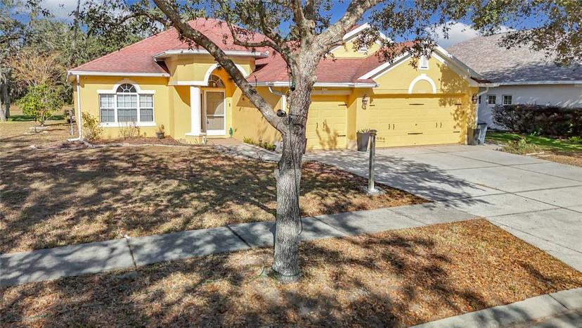 Picture of 16829 Midsummer Lane, Spring Hill FL 34610