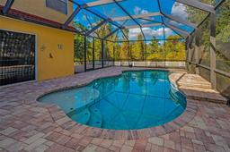 Picture of 11645 Belle Haven Drive, New Port Richey, FL 34654