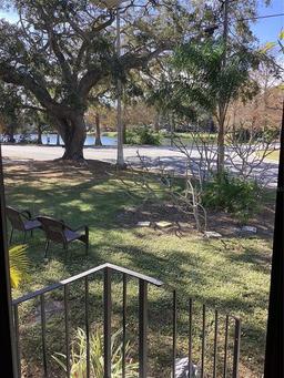 Picture of 1529 Paloma Lane, Dunedin, FL 34698