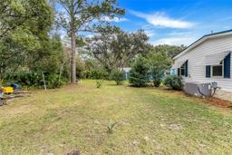 Picture of 1915 Stacey Drive, Mount Dora, FL 32757