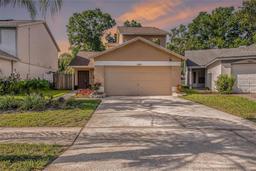 Picture of 11642 Hidden Hollow Circle, Tampa, FL 33635