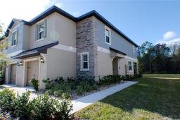 Picture of 17534 Nectar Flume Drive, Land O Lakes, FL 34638