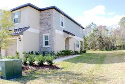 Picture of 17534 Nectar Flume Drive, Land O Lakes, FL 34638