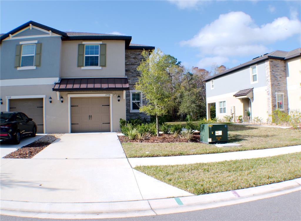 Picture of 17534 Nectar Flume Drive, Land O Lakes, FL 34638