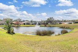 Picture of 12433 Woodlands Circle, Dade City, FL 33525