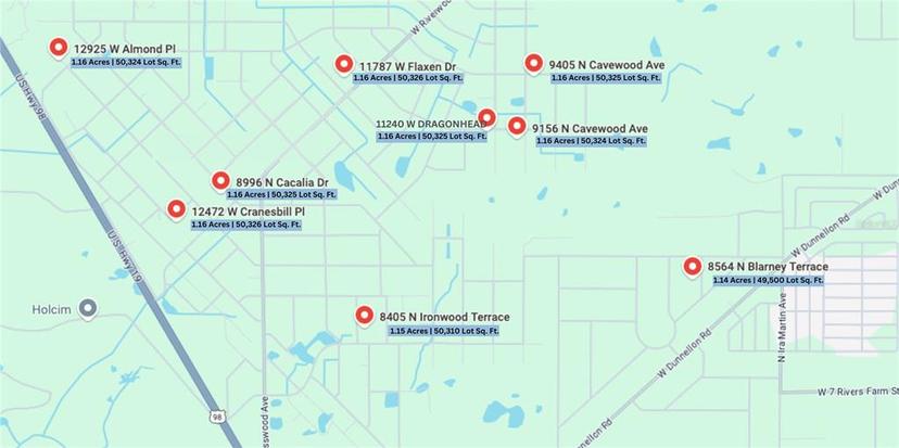 Picture of 11240 W Dragonhead Drive, Crystal River FL 34428