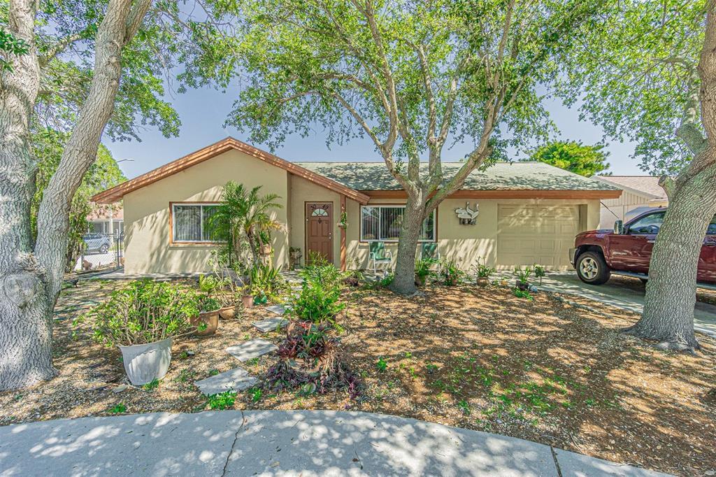 Picture of 3049 Moog Road, Holiday, FL 34691