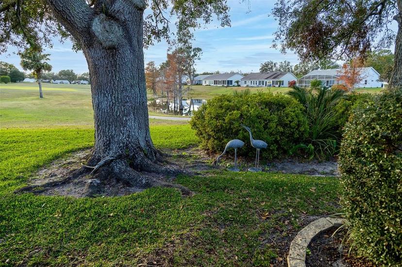 Picture of 4707 River Ridge Drive, Leesburg FL 34748