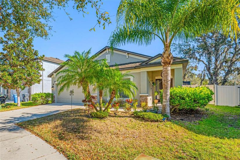 Picture of 11652 Palmetto Pine Street, Riverview FL 33569