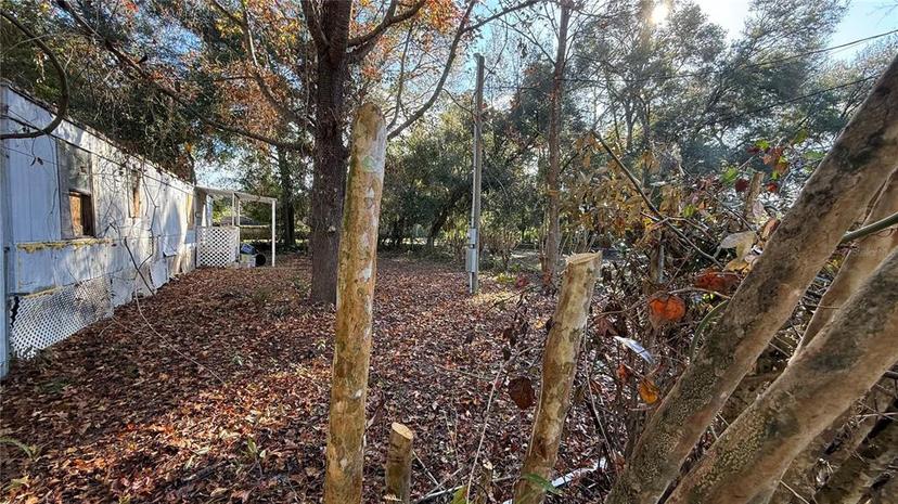 Picture of 116 Wateroak Road, Satsuma FL 32189