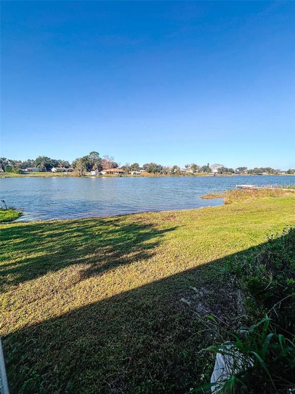 Picture of 183 E Lakeview Street, Umatilla FL 32784