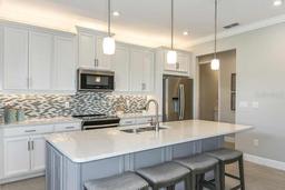 Picture of 20393 Symphony Place, Venice, FL 34293
