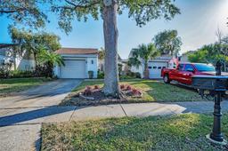 Picture of 165 Nina Way, Oldsmar, FL 34677