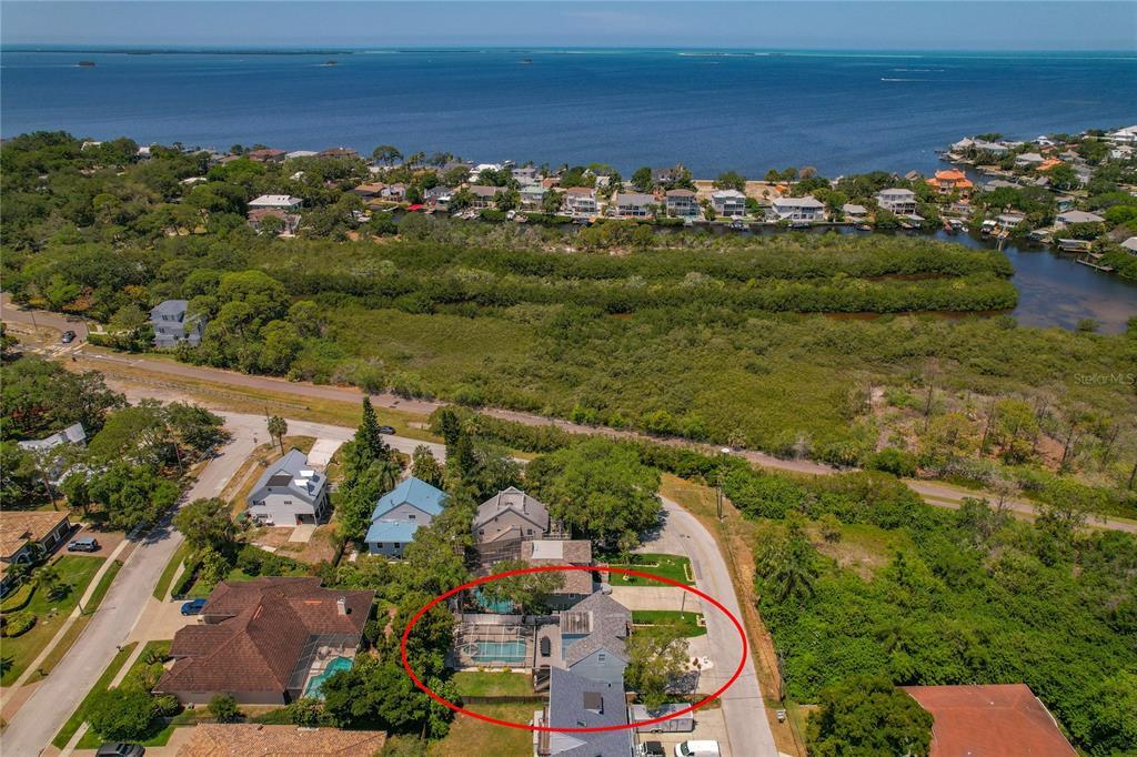 Picture of 394 Ulelah Avenue, Palm Harbor, FL 34683
