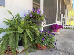 Picture of 422 W 11Th Avenue, Mount Dora, FL 32757