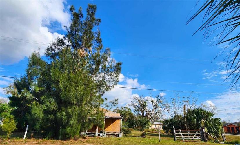 Picture of 317 Alabama Avenue, Arcadia FL 34266