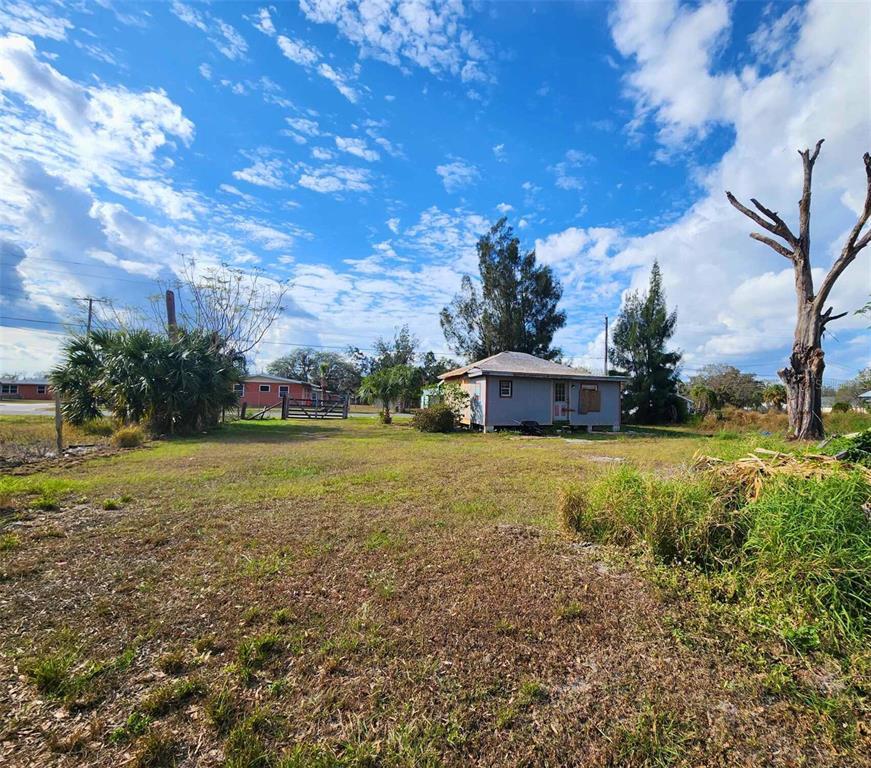 Picture of 317 Alabama Avenue, Arcadia, FL 34266