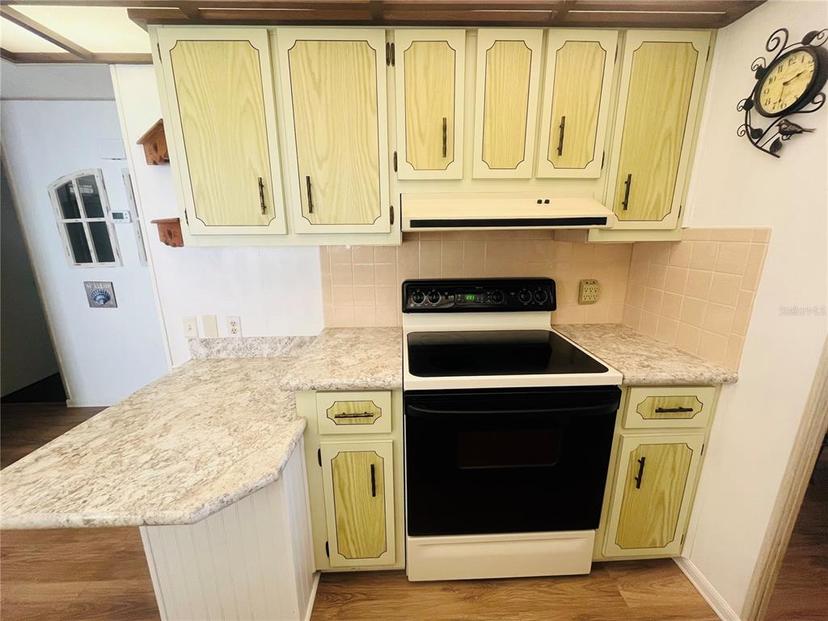 Picture of 61 Tanglewood Drive, Palm Harbor FL 34684