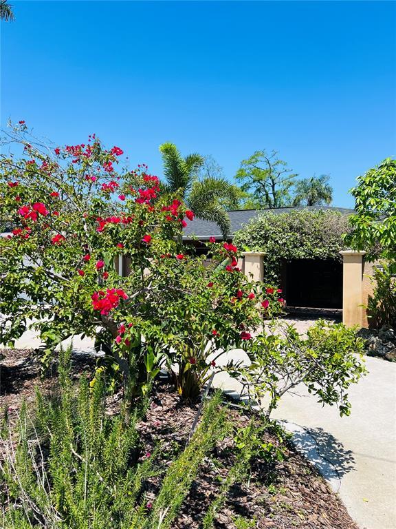 Picture of 2961 Homasassa Road, Sarasota FL 34239