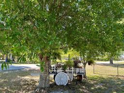 Picture of 202 Washington Boulevard, Lake Placid, FL 33852