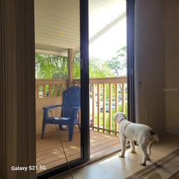 Picture of 122 Loblolly Court Unit H, Oldsmar, FL 34677