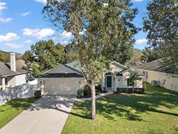 Picture of 2140 Wolf Ridge Lane, Mount Dora, FL 32757