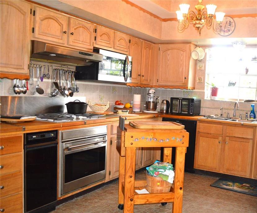 Picture of 9130 Dollanger Court, Orlando FL 32819