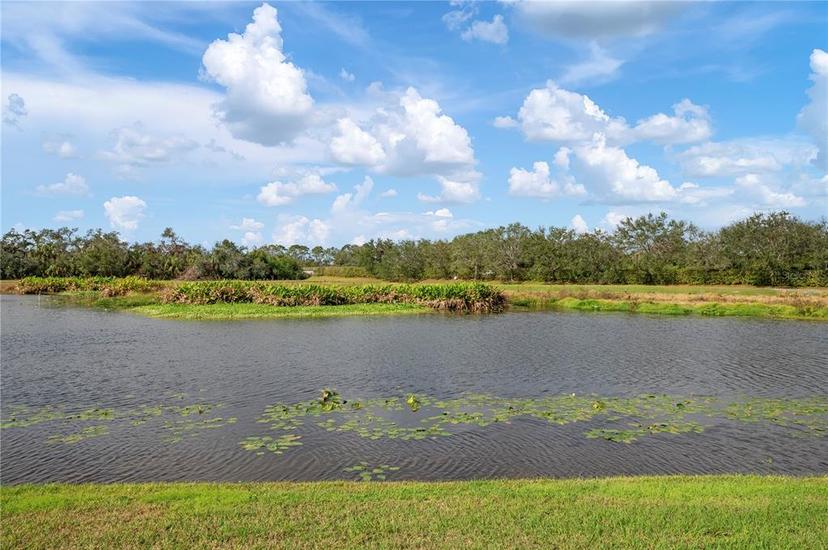 Picture of 5923 Sandstone Avenue, Sarasota FL 34243