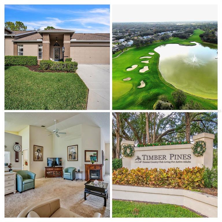 Picture of 8015 Willow Brook Drive, Spring Hill, FL 34606