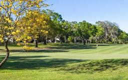 Picture of 407 Belvedere Oval, Temple Terrace, FL 33617