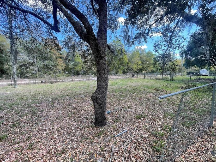 Picture of 383 S Rooks Avenue, Inverness FL 34453