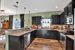 Picture of 10724 Burning Bush Terrace, Land O Lakes, FL 34638