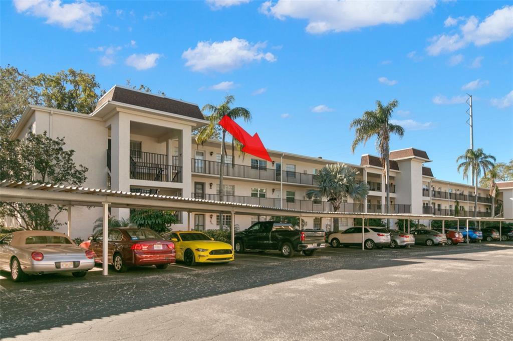 Picture of 831 Maple Court Unit 303, Dunedin, FL 34698