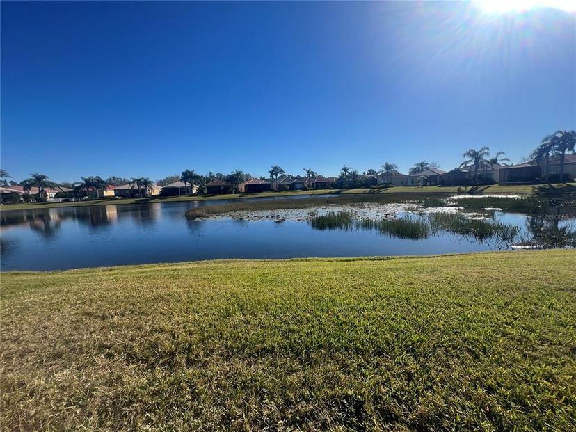 Picture of 15731 Crystal Waters Drive, Wimauma FL 33598
