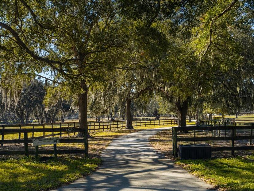 Picture of 12330 NW 35Th Street, Ocala FL 34482