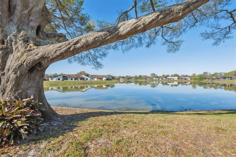 Picture of 7414 Heather Walk Drive, Weeki Wachee FL 34613