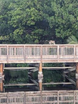 Picture of 1085 SE 6Th Avenue, Dania, FL 33004