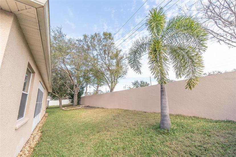 Picture of 12908 Cattail Shore Lane, Riverview FL 33579