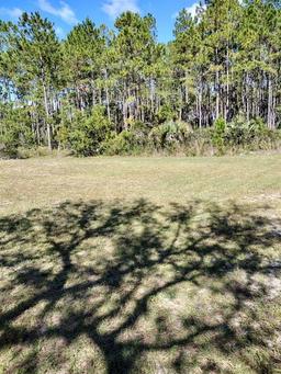 Picture of 137 Franklin Avenue, Pomona Park, FL 32181