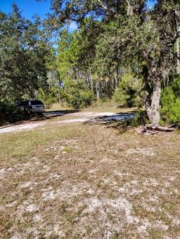 Picture of 137 Franklin Avenue, Pomona Park, FL 32181